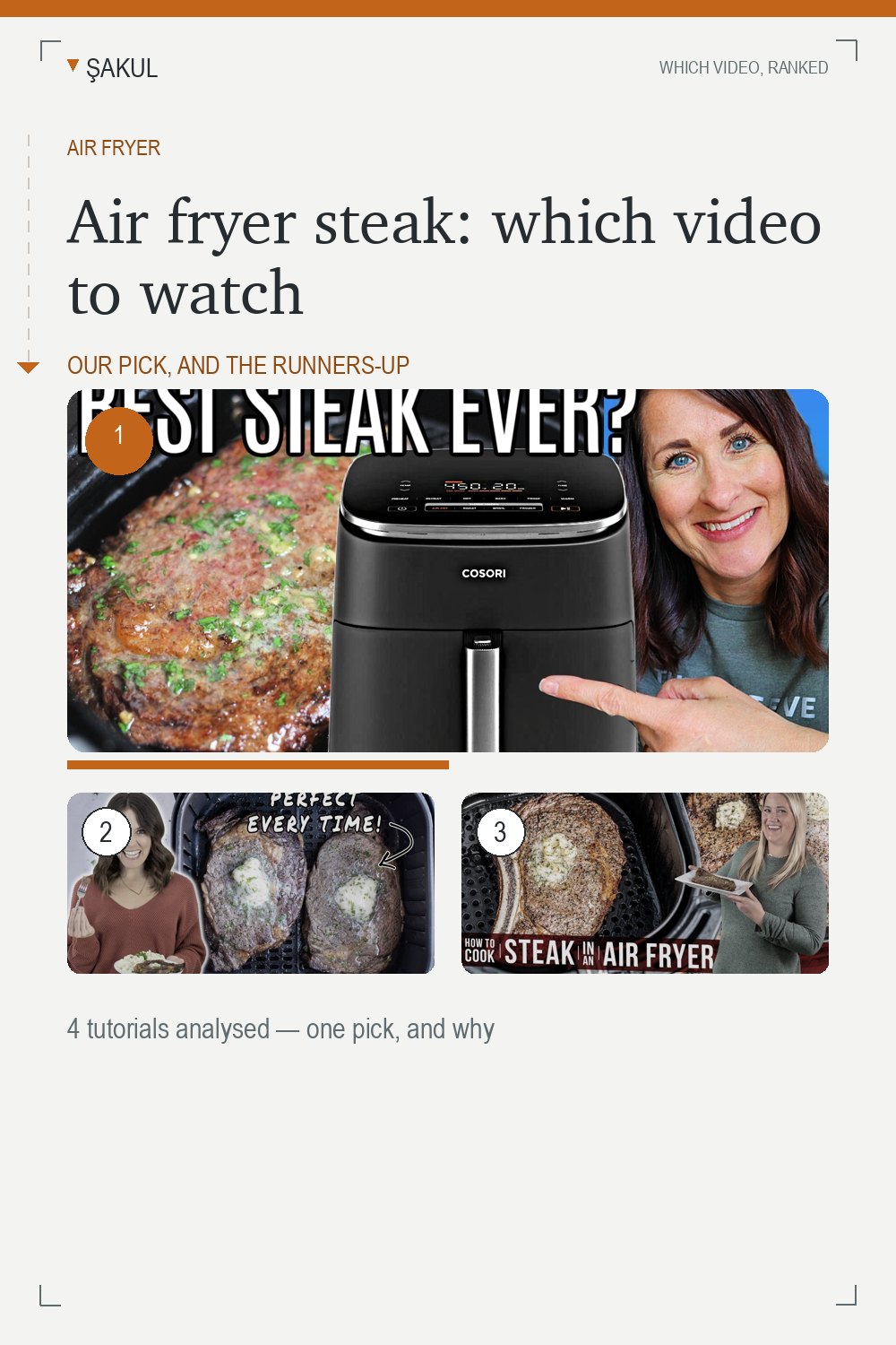 Air fryer steak: which video to watch