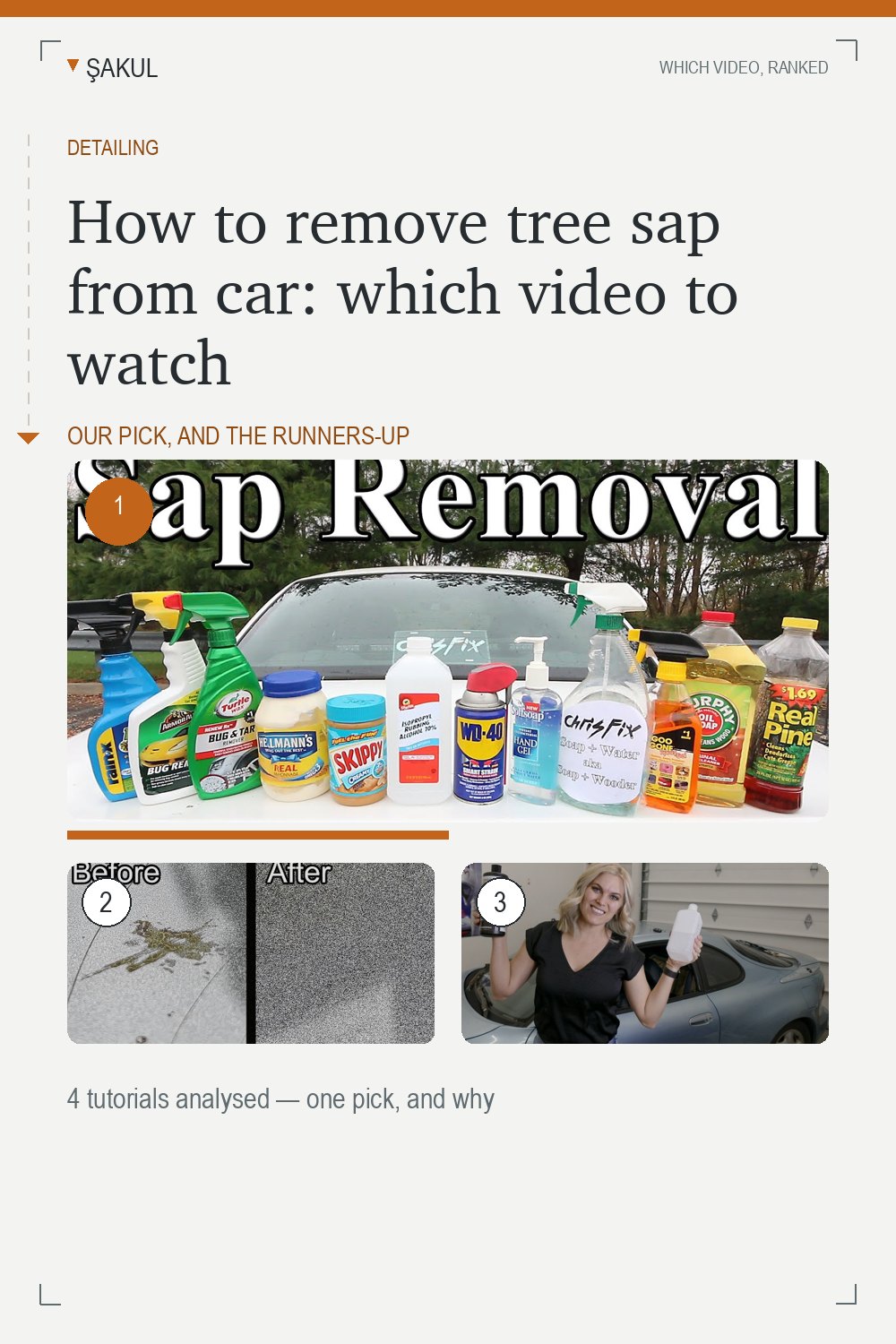 How to remove tree sap from car: which video to watch