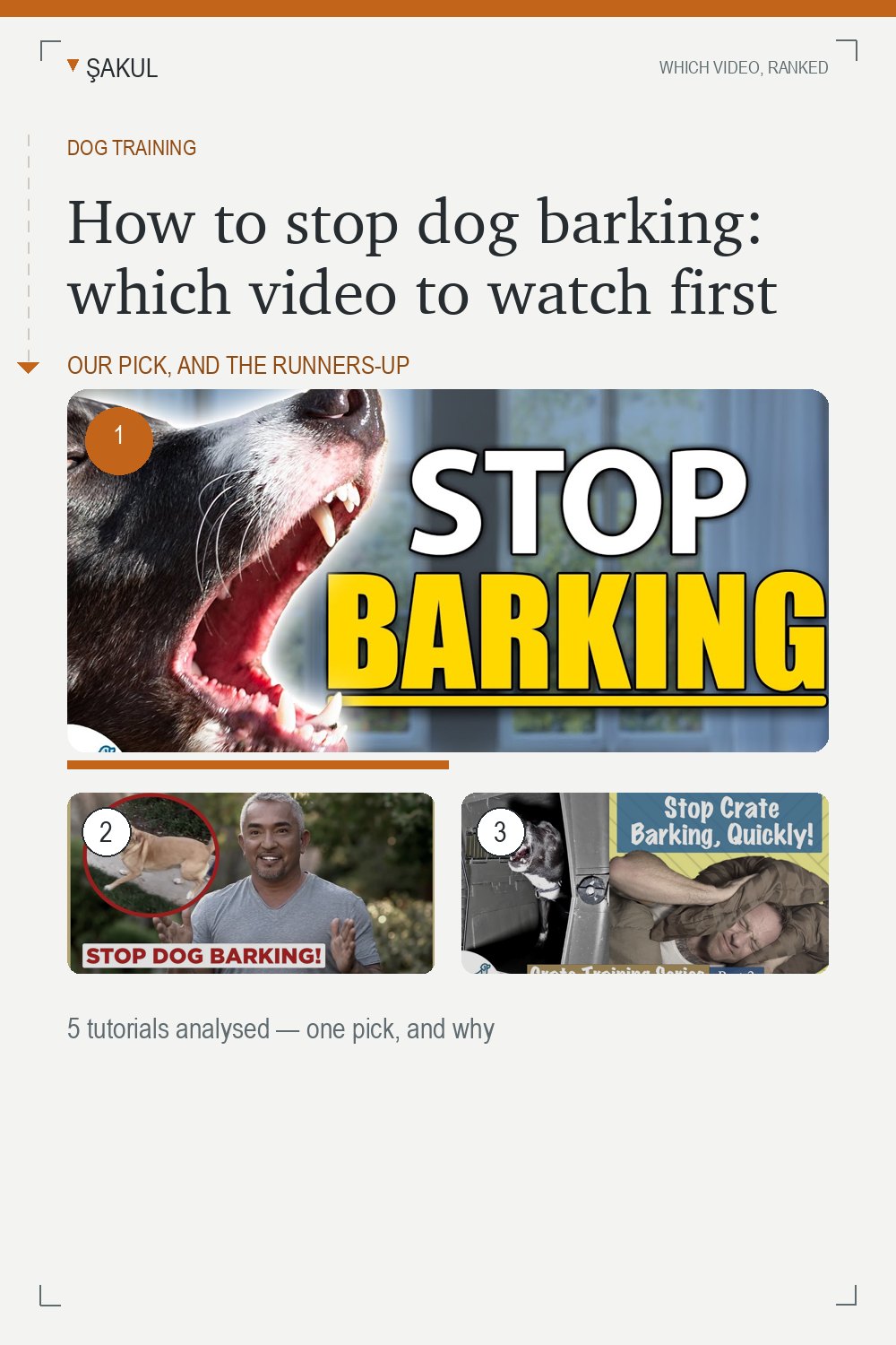 How to stop dog barking: which video to watch first