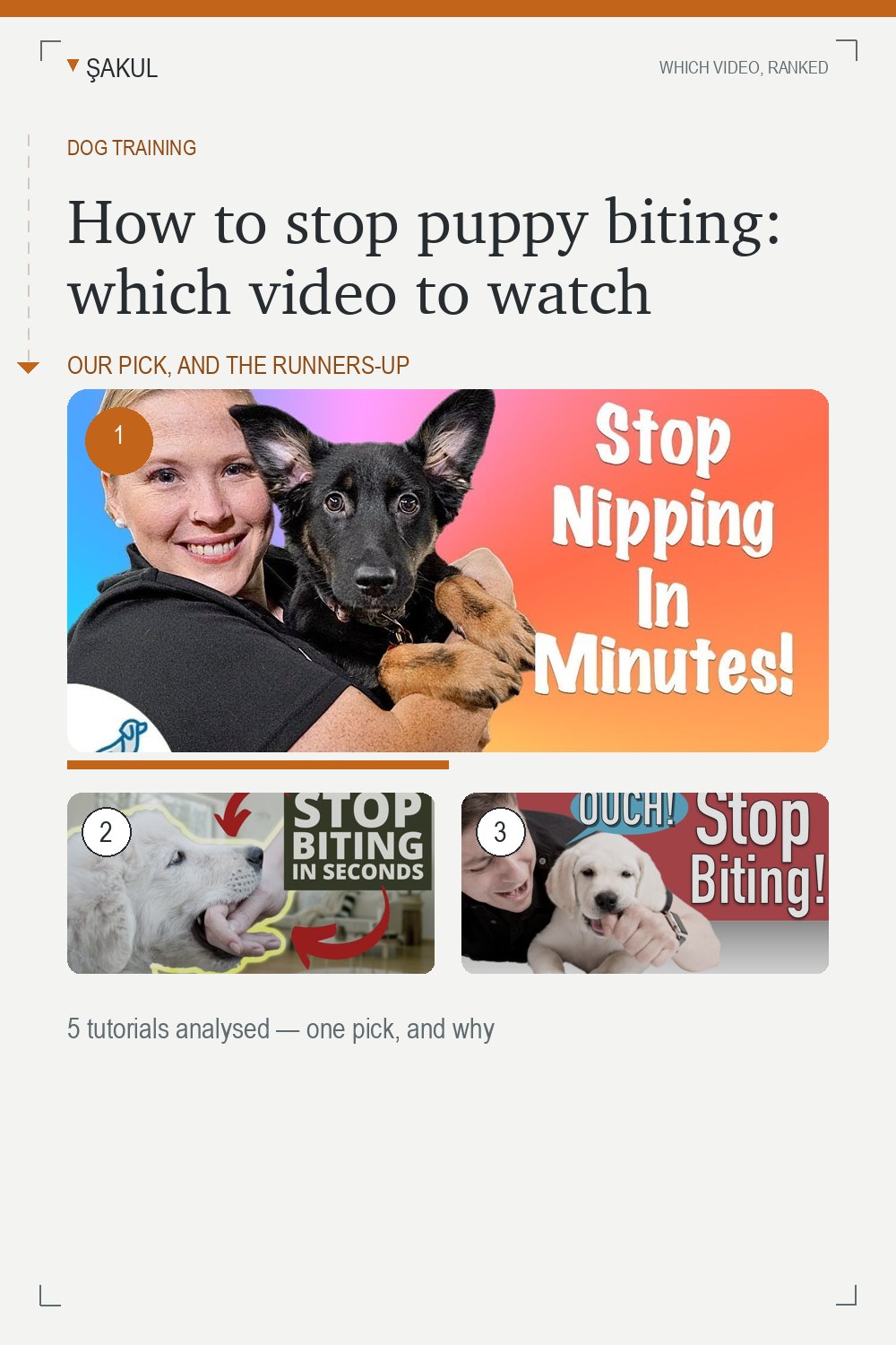 How to stop puppy biting: which video to watch